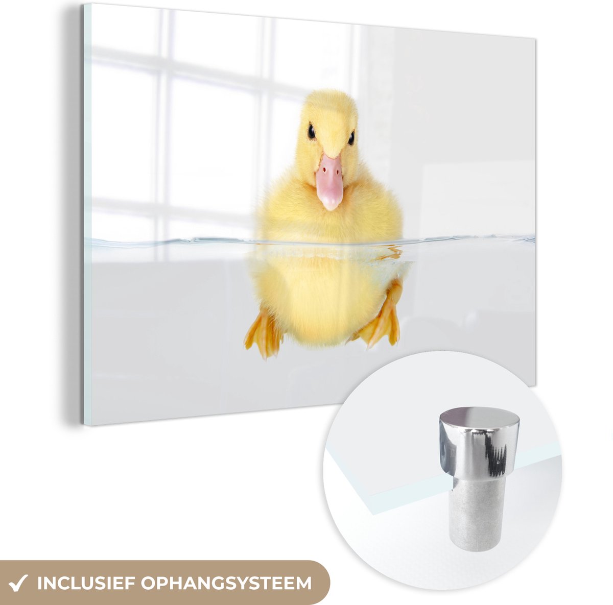 ® Glasschilderij 150x100 cm - Schilderij acrylglas - Zwemmende baby eend - Foto op glas - Muurdecoratie woonkamer - Wanddecoratie slaapkamer - Schilderijen