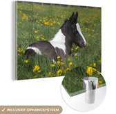 MuchoWow® Glasschilderij 150x100 cm - Schilderij acrylglas - Paarden - Bloemen - Geel - Foto op glas - Schilderijen