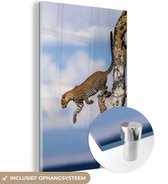 MuchoWow® Glasschilderij 60x90 cm - Schilderij acrylglas - Luipaard - Boom - Springen - Foto op glas - Schilderijen