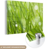 MuchoWow® Glasschilderij 150x100 cm - Schilderij acrylglas - Vroege dauw op grassprietjes - Foto op glas - Schilderijen