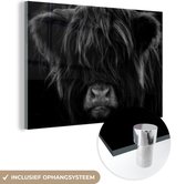 MuchoWow® Peinture sur Verre - Highlander écossais - Vache - Zwart - Wit - Portrait - 90x60 cm - Peintures sur Verre Acrylique - Photo sur Glas
