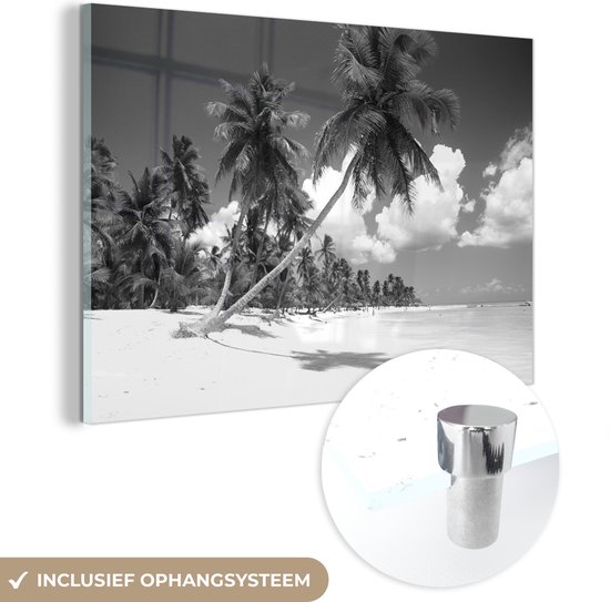 MuchoWow® Glasschilderij 60x40 cm - Schilderij acrylglas - Een palmboom op het strand hangt boven de zee - zwart wit - Foto op glas - Schilderijen