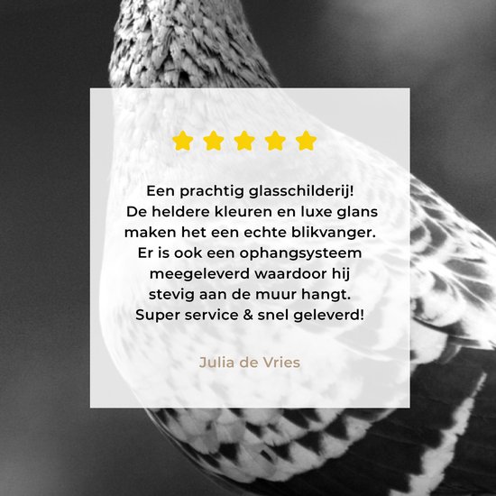 Peinture sur verre MuchoWow® - Pigeon voyageur sur un toit - noir et blanc - 120x80 cm - Peintures sur verre acrylique - Photo sur Glas