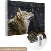 MuchoWow® Glasschilderij 120x80 cm - Schilderij acrylglas - Wolf - Sneeuw - Bruin - Foto op glas - Schilderijen
