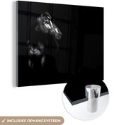 MuchoWow® Peinture sur Verre - Cheval - Taches - Lumière - 160x120 cm - Peintures sur Verre Peintures - Photo sur Glas