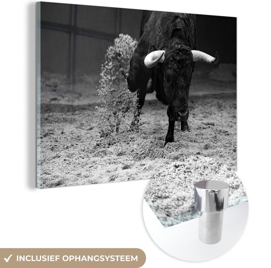 MuchoWow® Glasschilderij 150x100 cm - Schilderij acrylglas - Een stier die aan het rennen is in een zandbak - zwart wit - Foto op glas - Schilderijen