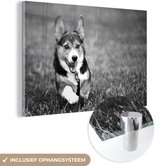 MuchoWow® Peinture sur verre 180x120 cm - Peinture sur verre acrylique - Chien qui court - noir et blanc - Photo sur verre - Peintures