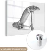 MuchoWow® Glasschilderij 30x20 cm - Schilderij acrylglas - Gekko op een step - zwart wit - Foto op glas - Schilderijen