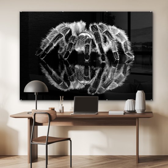 ® Glasschilderij 180x120 cm - Schilderij acrylglas - Studio shot van een tarantula - Foto op glas - Muurdecoratie woonkamer - Wanddecoratie slaapkamer - Schilderijen