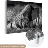 MuchoWow® Glasschilderij 90x60 cm - Schilderij acrylglas - Knuffelende leeuwen - zwart wit - Foto op glas - Schilderijen