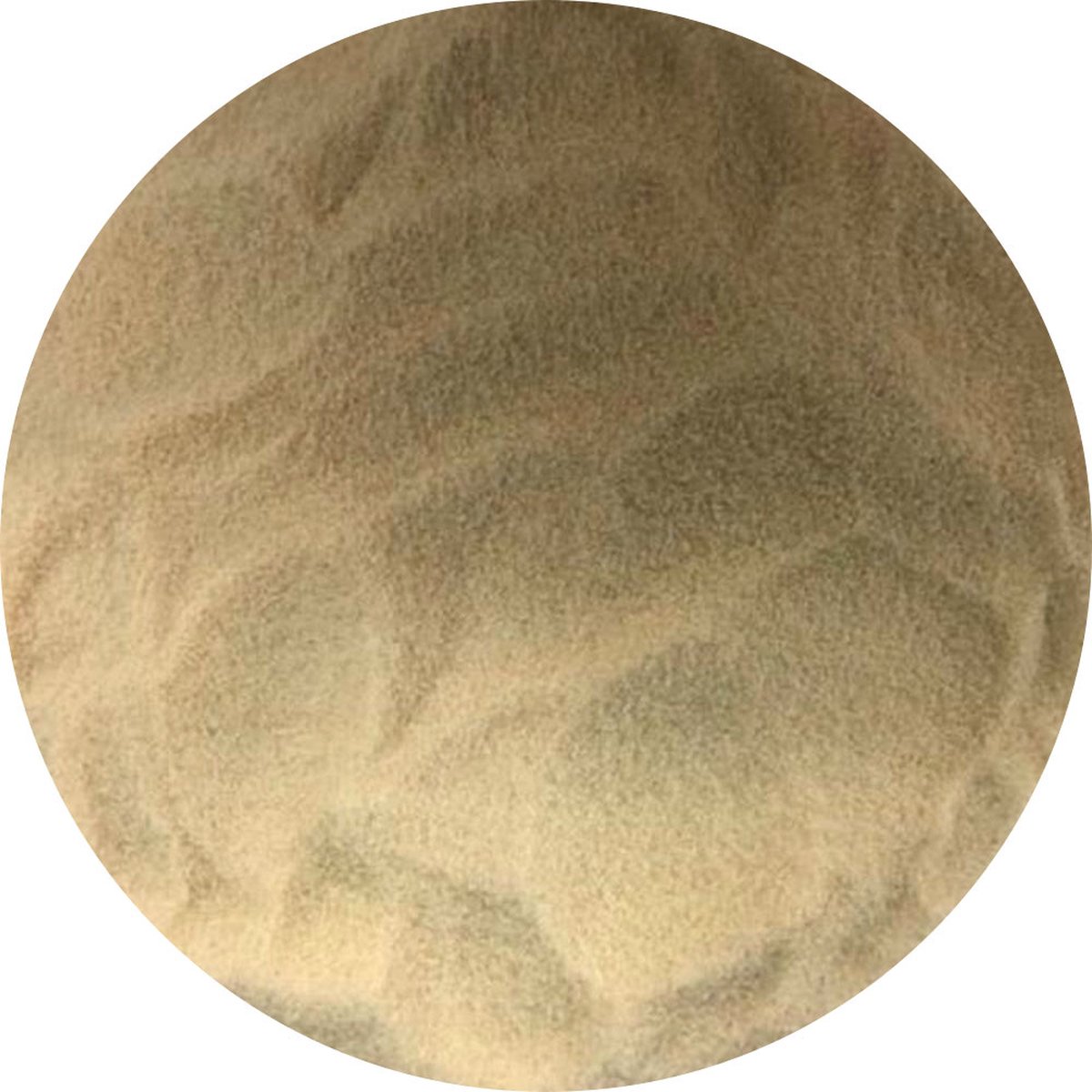 Goedkoopste Van Beekum Specerijen - Paneer Rusk - 10 KG - Zak (bulk verpakking