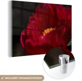 MuchoWow® Glasschilderij 120x80 cm - Schilderij acrylglas - Een afbeelding van een rode pioenroos - Foto op glas - Schilderijen