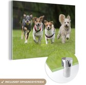 MuchoWow® Peinture sur verre 180x120 cm - Peinture sur verre acrylique - Un groupe de chiots courant à travers un champ - Photo sur verre - Peintures