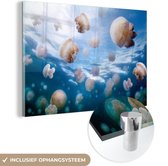 MuchoWow® Glasschilderij 180x120 cm - Schilderij acrylglas - Kwal - Zee - Dieren - Foto op glas - Schilderijen