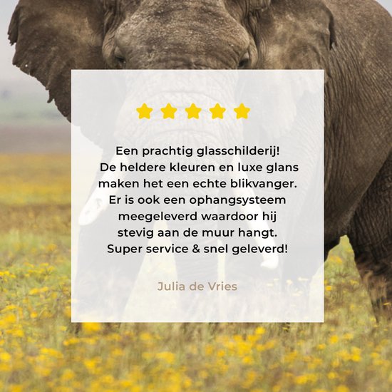 MuchoWow® Peinture sur verre 120x90 cm - Peinture sur verre acrylique - Éléphant - Fleurs - Herbe - Animaux - Nature - Photo sur verre - Peintures