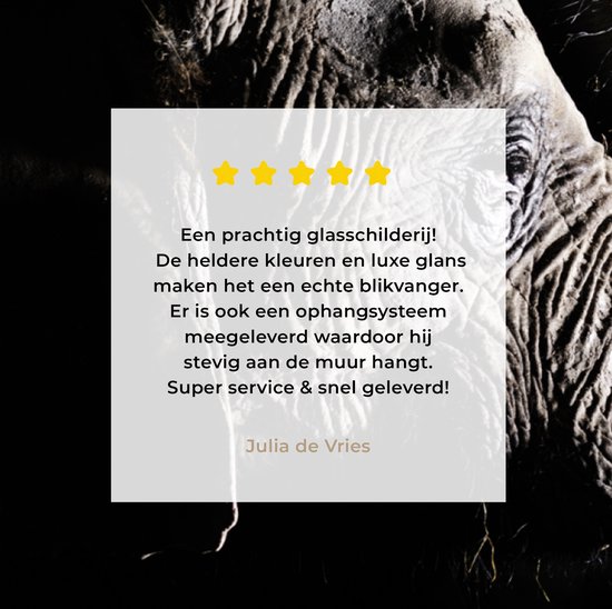 MuchoWow® Peinture sur verre - Éléphant - Zwart - Animaux - Nature - 120x90 cm - Peintures sur verre acrylique - Photo sur Glas