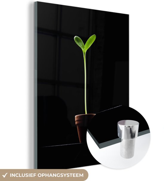 MuchoWow® Glasschilderij 30x40 cm - Schilderij acrylglas - Een jonge zonnebloem in een bloempot tegen een zwarte achtergrond - Foto op glas - Schilderijen