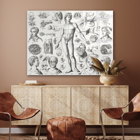 MuchoWow® Glasschilderij 120x90 cm - Schilderij acrylglas - Illustraties van verschillende chirurgische ingrepen - Foto op glas - Schilderijen