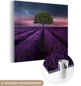 MuchoWow® Glasschilderij 90x90 cm - Schilderij acrylglas - Lavendel - Boom - Paars - Foto op glas - Schilderijen