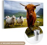 MuchoWow® Glasschilderij 40x20 cm - Schilderij acrylglas - Schotse hooglander - Licht - Schapen - Foto op glas - Schilderijen