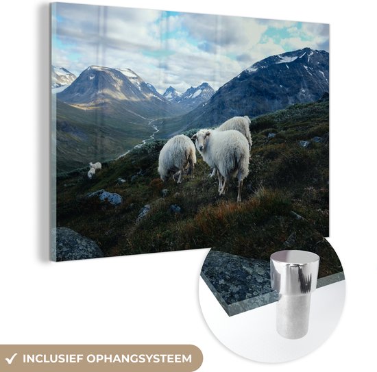 MuchoWow® Glasschilderij 90x60 cm - Schilderij acrylglas - Schapen - Natuur - Bergen - Foto op glas - Schilderijen