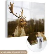MuchoWow® Peinture sur verre 40x30 cm - Peinture sur verre acrylique - Cerfs - Animaux - Nature - Photo sur verre - Peintures