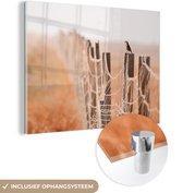 MuchoWow® Glasschilderij 160x120 cm - Schilderij acrylglas - Paapje op een hek - Foto op glas - Schilderijen