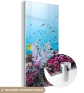 MuchoWow® Glasschilderij 60x120 cm - Schilderij acrylglas - Kleurrijk rif en koraal - Foto op glas - Schilderijen