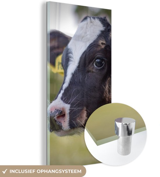 MuchoWow® Peinture sur verre 60x120 cm - Peinture acrylique sur verre - Vache - Veau - Animaux - Ferme - Photo sur verre - Peintures