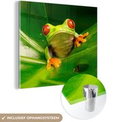 Peinture sur Verre - Grenouille - Feuilles - 20x20 cm - Peintures sur Verre Peintures - Photo sur Glas