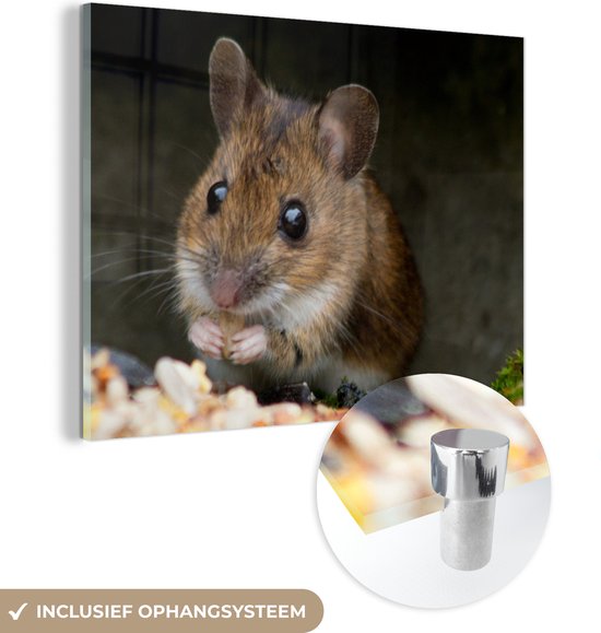 MuchoWow® Glasschilderij 120x90 cm - Schilderij acrylglas - Muis die ontbijt eet - Foto op glas - Schilderijen