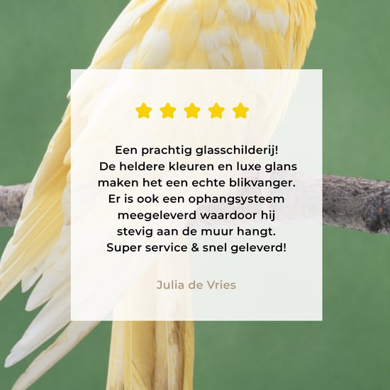 MuchoWow® Peinture sur verre - Calopsitte jaune sur un bâton - 90x120 cm - Peintures sur verre acrylique - Photo sur Glas