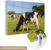 Vaches frisonnes paissant dans le champ vert Plexiglas 120x80 cm - Tirage photo sur Glas (décoration murale en plexiglas)