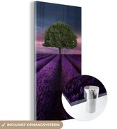 MuchoWow® Glasschilderij 40x80 cm - Schilderij acrylglas - Lavendel - Boom - Paars - Foto op glas - Schilderijen
