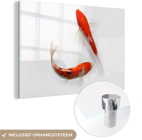 MuchoWow® Glasschilderij 30x20 cm - Schilderij acrylglas - Twee oranje koi karpers tegen een witte achtergrond - Foto op glas - Schilderijen