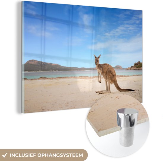 MuchoWow® Glasschilderij 90x60 cm - Schilderij acrylglas - Strand - Kangoeroe - Australië - Foto op glas - Schilderijen
