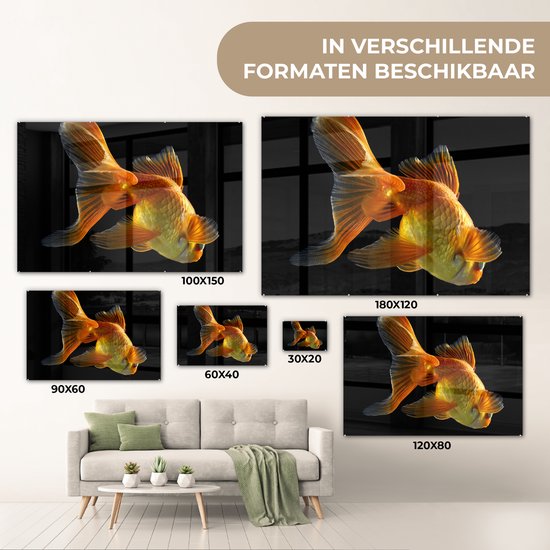 MuchoWow® Peinture sur verre - Poisson rouge - Animaux - Zwart - 30x20 cm - Peintures sur verre acrylique - Photo sur Glas