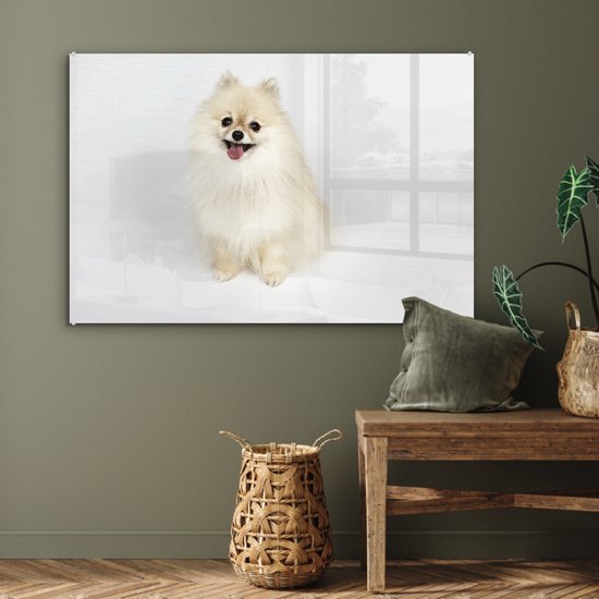 MuchoWow® Peinture sur verre 90x60 cm - Peinture acrylique sur verre - Poméranien joyeux - Photo sur verre - Peintures