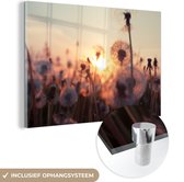 MuchoWow® Glasschilderij 30x20 cm - Schilderij acrylglas - Paardenbloem - Zonsondergang - Lente - Foto op glas - Schilderijen