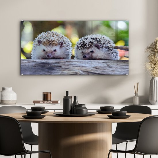 Peinture sur verre - Deux hérissons assis sur une branche - 80x40 cm - Peintures Plexiglas