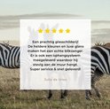 Product afbeelding  9