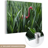 MuchoWow® Glasschilderij 120x80 cm - Schilderij acrylglas - Flamingo tussen bladeren - Foto op glas - Schilderijen