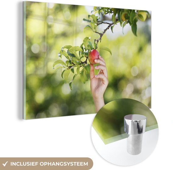 MuchoWow® Glasschilderij - Fruitbomen - Moestuin - Appel - Acrylglas Schilderijen - Foto op Glas