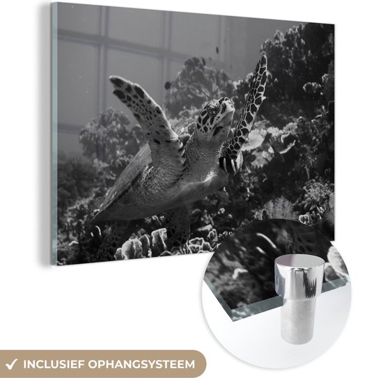 MuchoWow® Glasschilderij 180x120 cm - Schilderij acrylglas - Schildpad zwemt bij zeebodem in zwart-wit - Foto op glas - Schilderijen