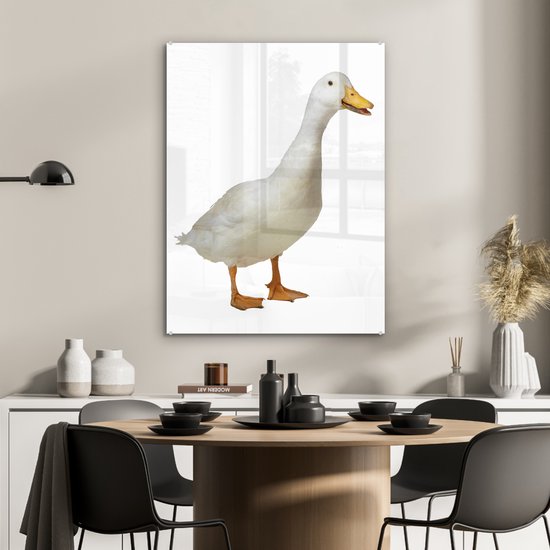 MuchoWow® Peinture sur Verre - Canard Quacking - 60x80 cm - Peintures Acrylique - Photo sur Glas