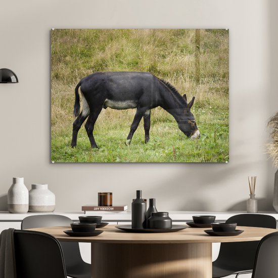 MuchoWow® Peinture sur verre - Âne au pâturage - 80x60 cm - Peintures sur verre acrylique - Photo sur Glas
