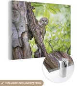Peinture sur Verre - Hibou - Forêt - Lumière - 80x60 cm - Peintures sur Verre Peintures - Photo sur Glas