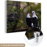 MuchoWow® Glasschilderij 30x20 cm - Schilderij acrylglas - Vogels - Tak - Bladeren - Foto op glas - Schilderijen