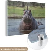 MuchoWow® Glasschilderij 120x80 cm - Schilderij acrylglas - Nijlpaard - Vogel - Water - Foto op glas - Schilderijen
