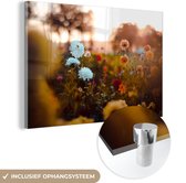 MuchoWow® Glasschilderij 120x80 cm - Schilderij acrylglas - Bloemen - Lente - Zon - Seizoenen - Foto op glas - Schilderijen